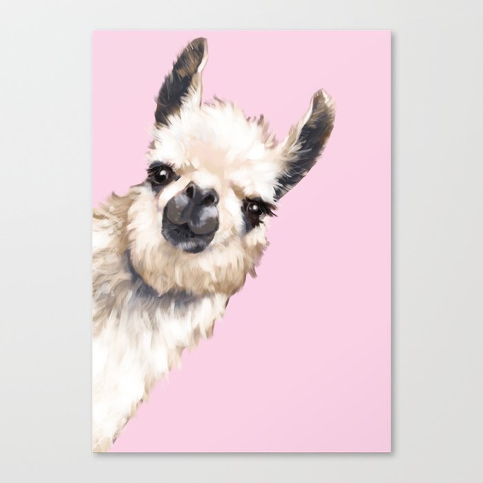 Sneaky Llama In Pink Canvas Print By Bignosework Society6