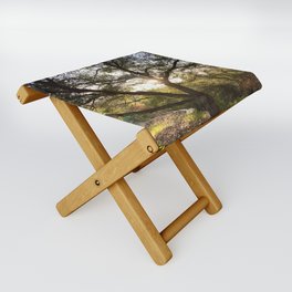 Sunlit Oak Folding Stool