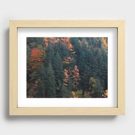 in the woods Recessed Framed Print