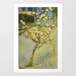 Small pear tree in blossom-Vincent van Gogh Art Print