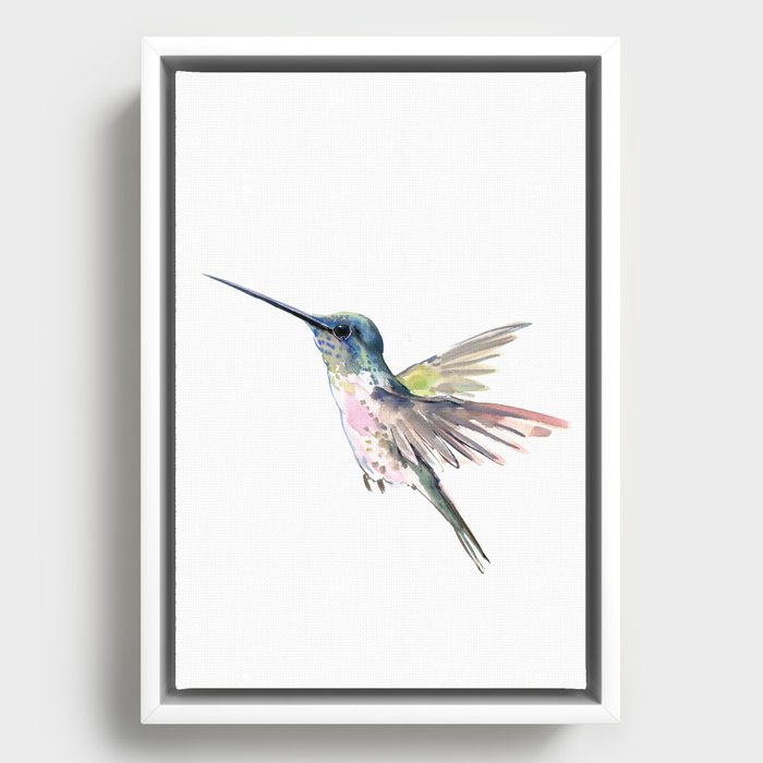 Flying Little Hummingbird Framed Canvas