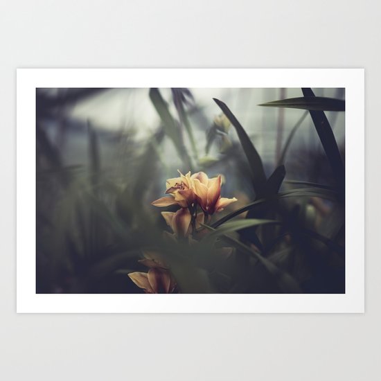 live from the orchid house Art Print