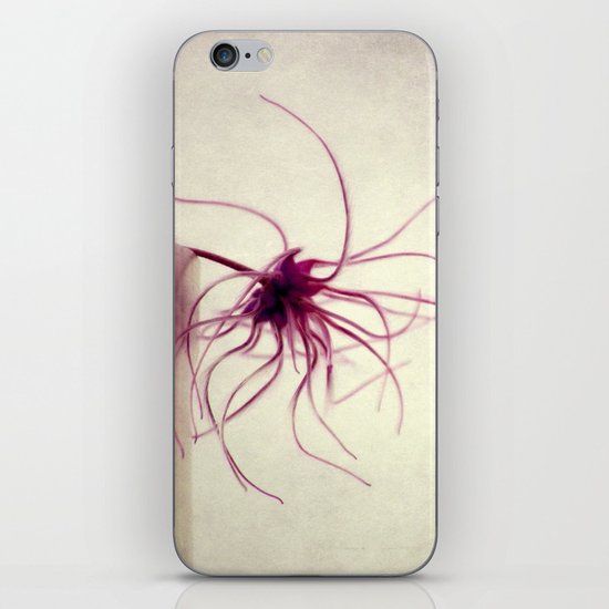 spider iPhone & iPod Skin