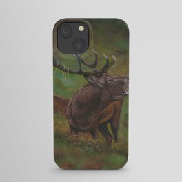 Deer in Forest iPhone Case