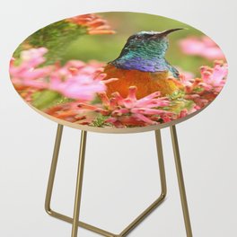 South Africa Photography - Colorful Bird Among  Colorful Flowers Side Table