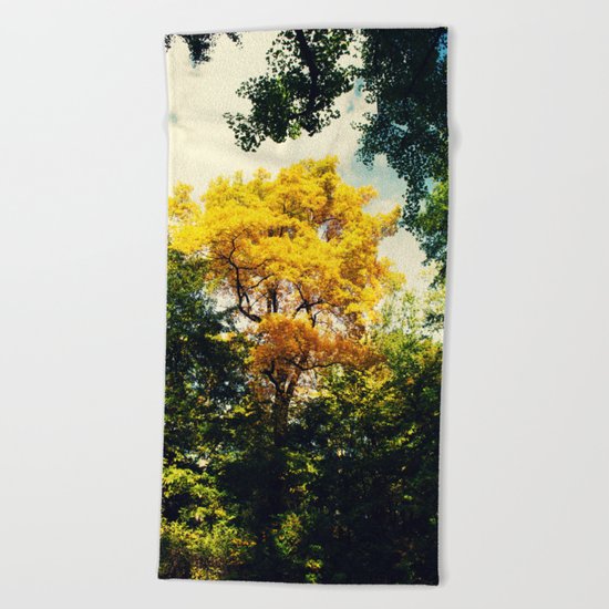 fall in Central Park Beach Towel