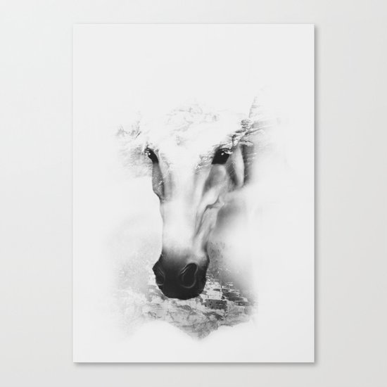 HORSE Canvas Print