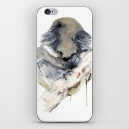 Koala sleeping iPhone Skin