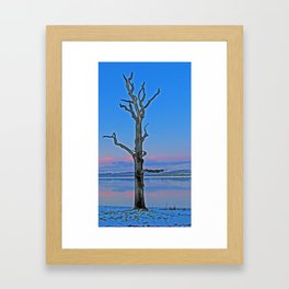 Portrait of a tree Framed Art Print