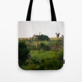 South Africa Photography - Giraffes Enjoying The African Nature Tote Bag