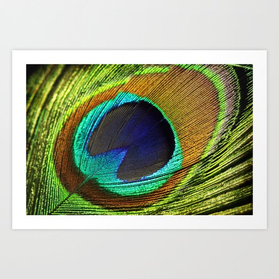 feathers Art Print