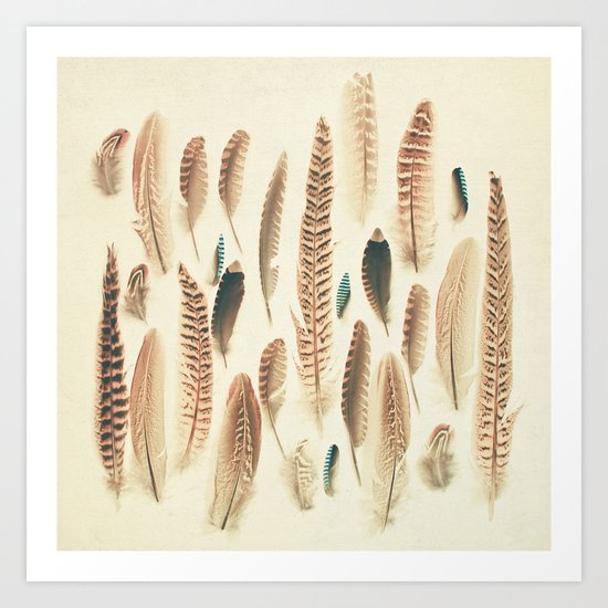Found Feathers Art Print