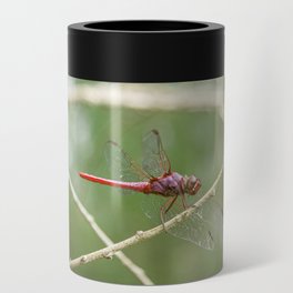 Red Dragonfly Can Cooler