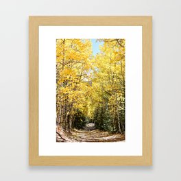 Road to the Hut Framed Art Print