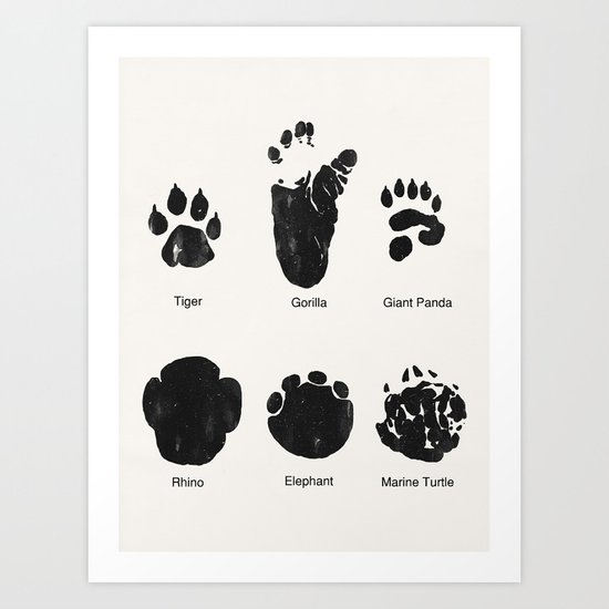 Animal Track Art Print