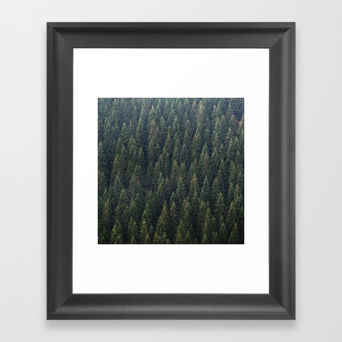 Framed Art Print