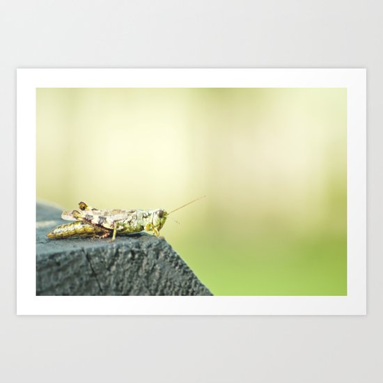 Hop Art Print