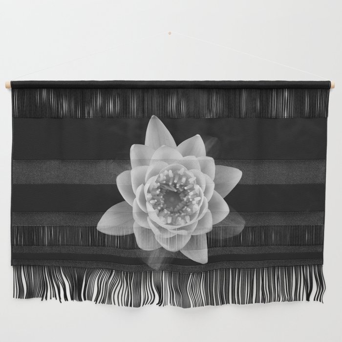 White waterlily on black background  | Black & White Nature Photography Wall Hanging