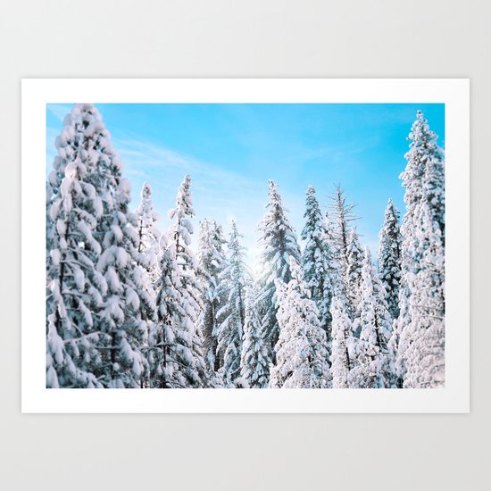 Snow covered evergreens Art Print
