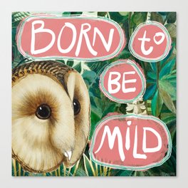 Introverted Owl Canvas Print
