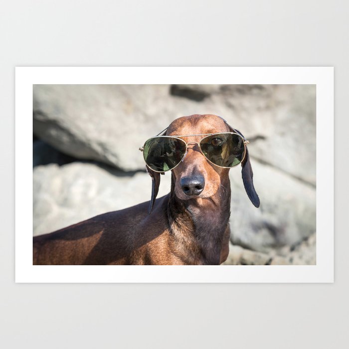 Weiner top dog sunglasses