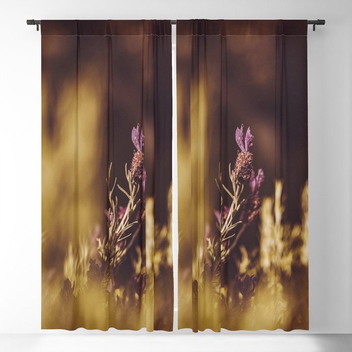 french lavender Blackout Curtain