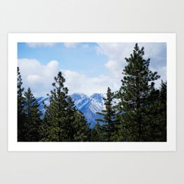 Mountains and pines Art Print