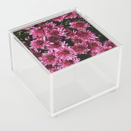 Pink Chrysanthemums Acrylic Box