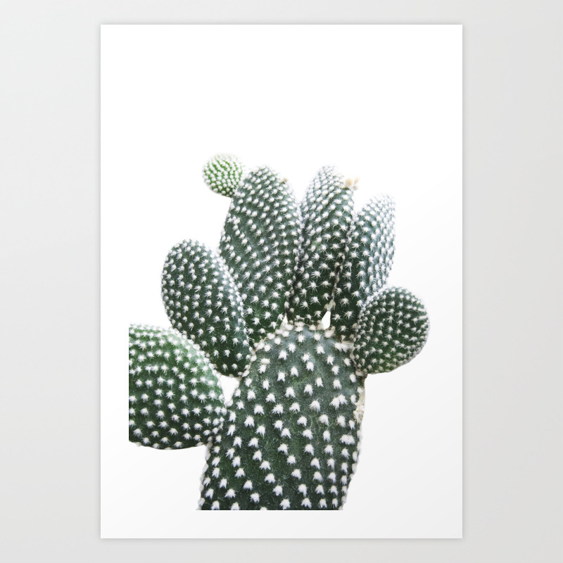 Fuzzy Cactus Photography | Botanical | Tropical | Minimalist | Cactus-Art  Art Print by Wildhood | Society6