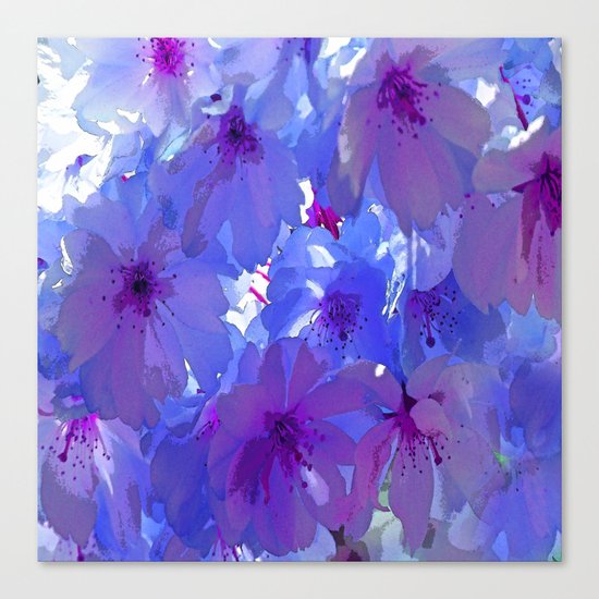 Blue Cherry Blossoms Canvas Print