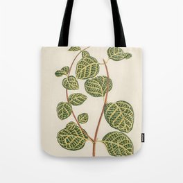 Vintage Green Plant Painting Tote Bag