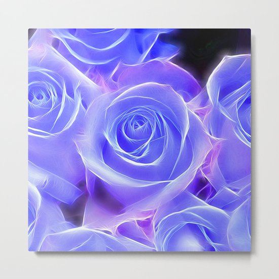 Rose_2014_0927 Metal Print