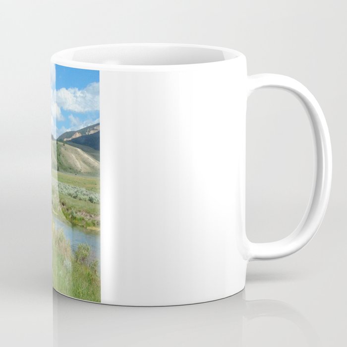Bison, Grand Teton National Park, Wyoming Coffee Mug