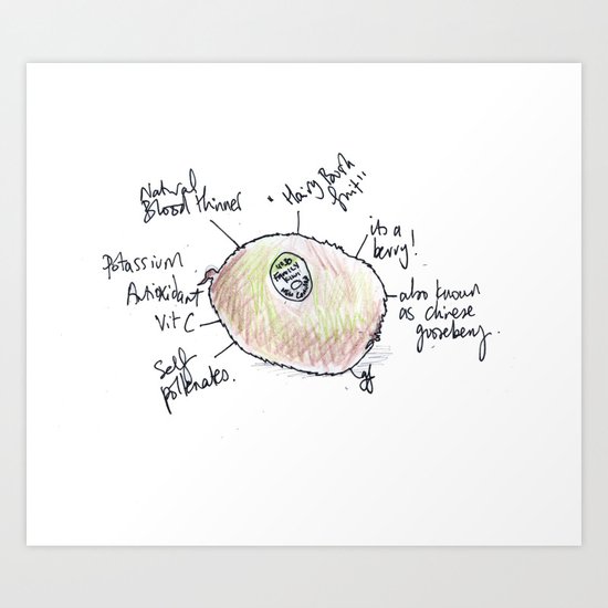 Kiwi fruit. Art Print