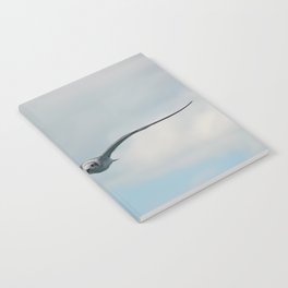 Seagull flying with wide open wings | Coastal seabird photo Notebook