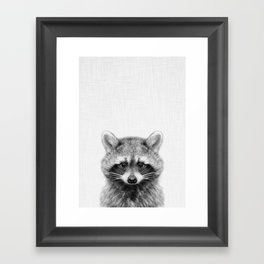Baby Raccoon Framed Art Print