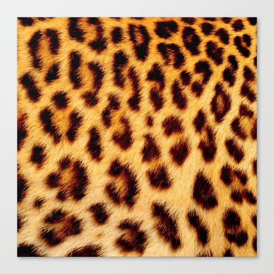 Leopard skin pattern Canvas Print