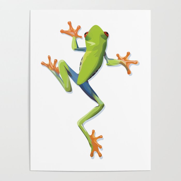Greenery tree-frog Poster