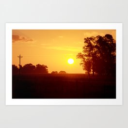 Field at golden hour sunset, fat old sun, orange landscape fine art photography Art Print