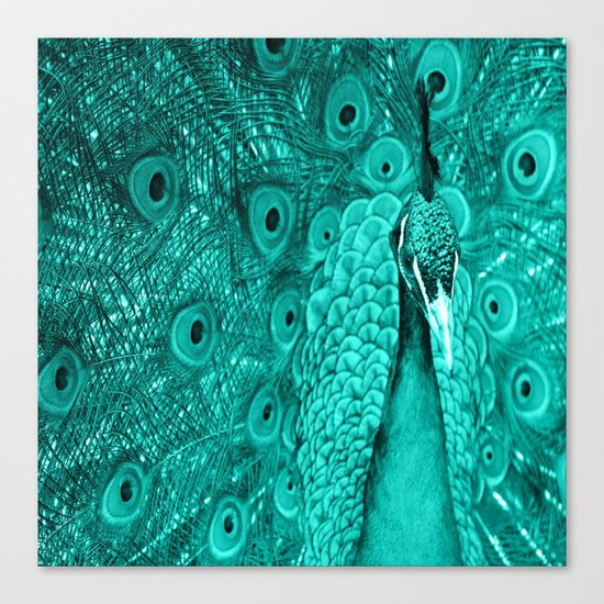 Peacock Canvas Print