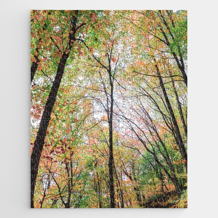 Autumn Forest - Minnesota Jigsaw Puzzle