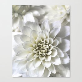 Infinite Petals: Dahlia Flower In White Canvas Print