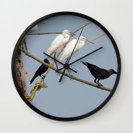 Egrets and Crows, Cochin, India Wall Clock | Seashore, Fishingnet, Color, Ocean, Crows, India, Birds, Photo, Nature, Tropical 
