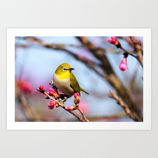 yellow little bird Art Print
