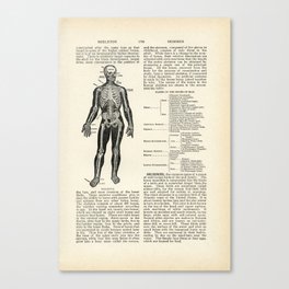 Vintage Dictionary Page Anatomy Skeleton  Canvas Print
