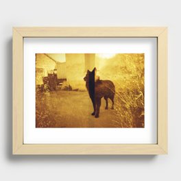 BLACK DOG Recessed Framed Print