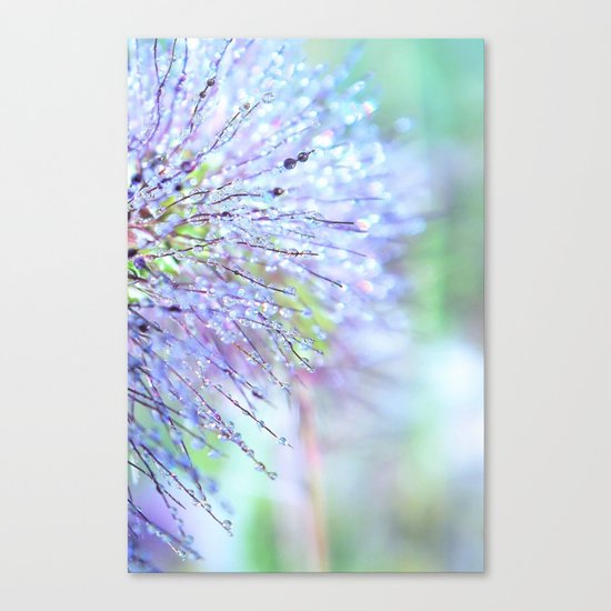raindrops on grass Canvas Print