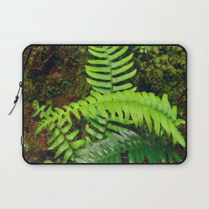 Fern Leaves under Tropical Rain - Nature Close Up Photography  Laptop Sleeve