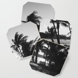 black and white palm trees Coaster