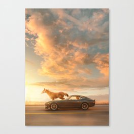 chase the dream Canvas Print